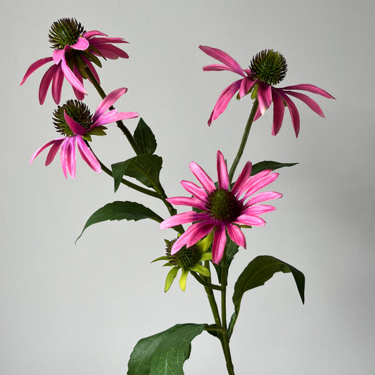 Rudbeckia (Zonnehoed) Spray - Roze