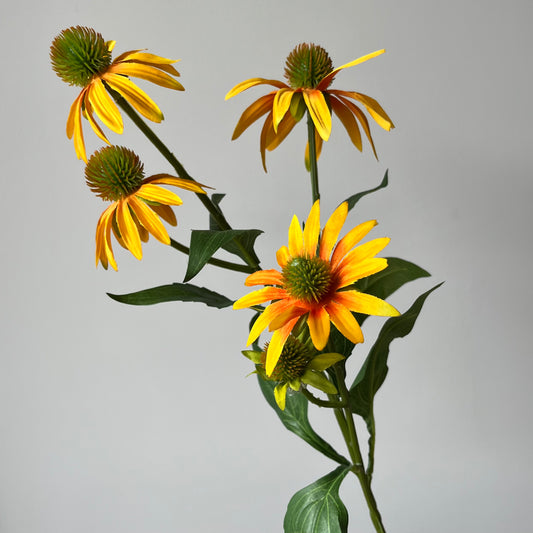 Rudbeckia (Zonnehoed) Spray - Geel