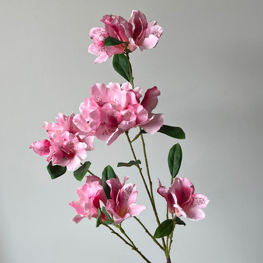 Rhododendron Spray - Roze
