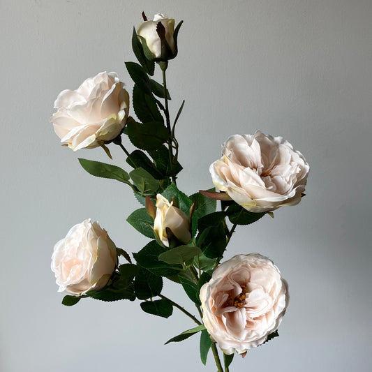 Roos Spray - Licht Roze