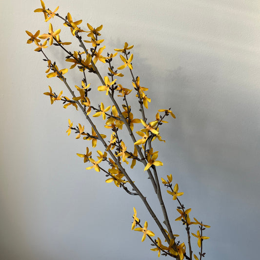 Forsythia Spray (Chinees Klokje) - Geel