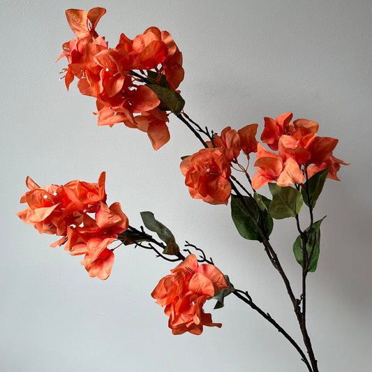 Bougainvillea Spray - Oranje