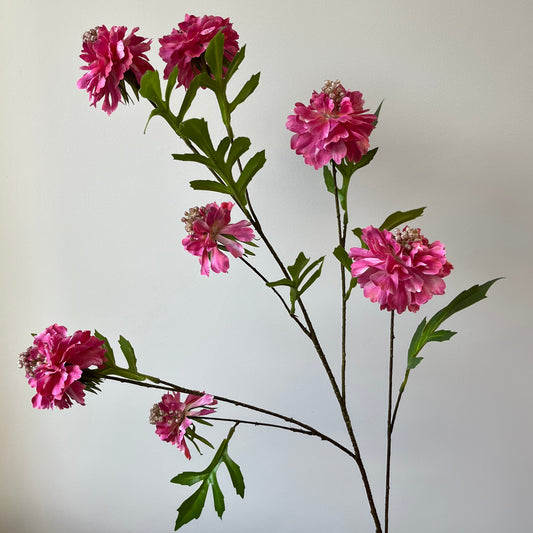 Scabiosa Spray (7-bloem) - Fuchsia