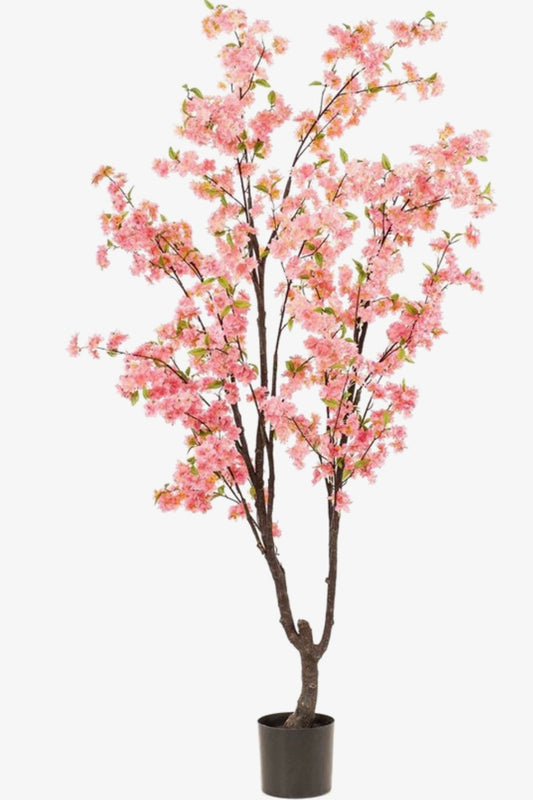 Kersenbloesem Boom (210cm)