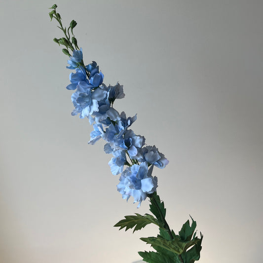 Delphinium (Ridderspoor) - Licht Blauw