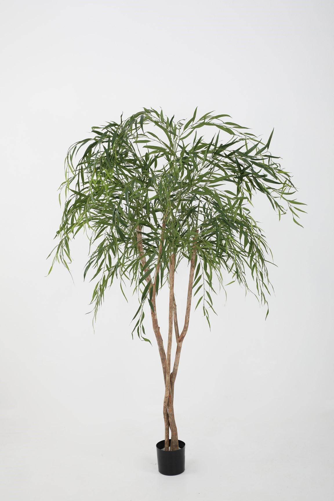 Willow Tree (200cm)