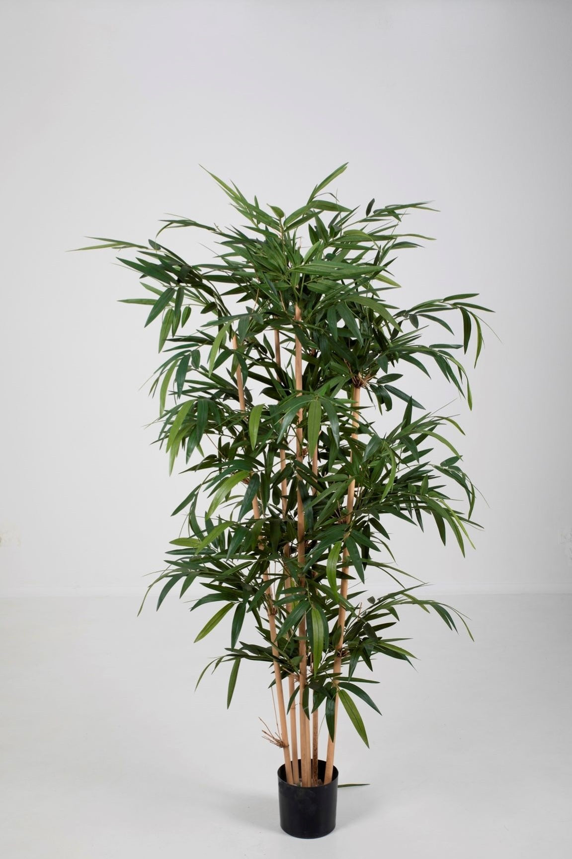 New Bamboo Tree UV-bestendig (180cm)