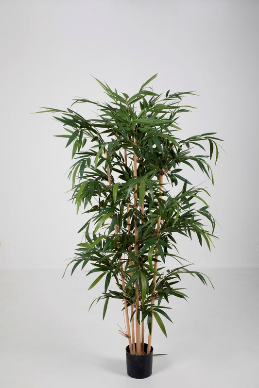 New Bamboo Tree UV-bestendig (180cm)
