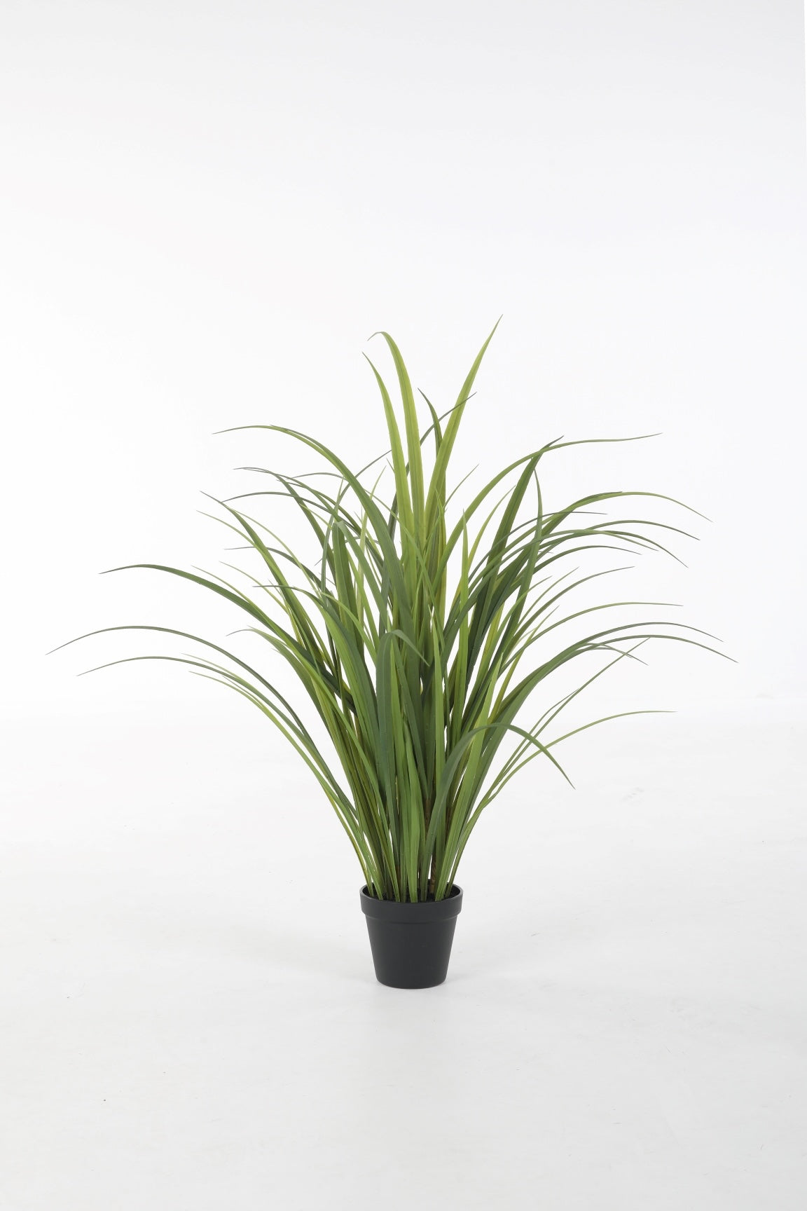 Miscanthus UV-bestendig (75cm)