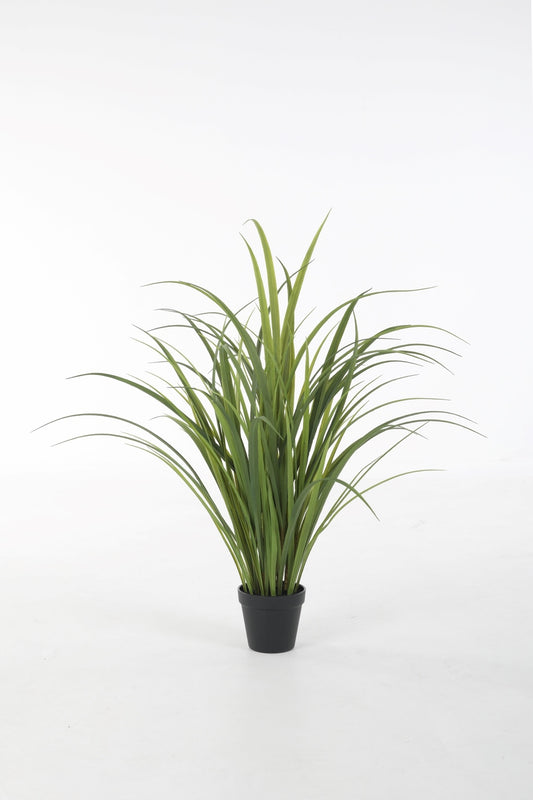 Miscanthus UV-bestendig (75cm)