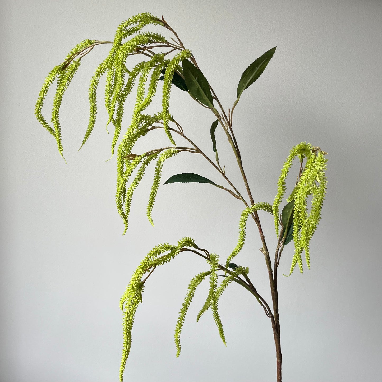 Amaranthus Spray - Groen