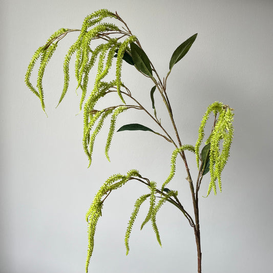 Amaranthus Spray - Groen