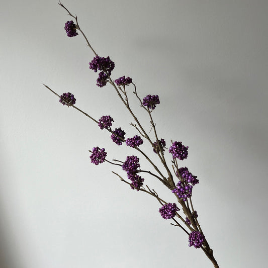Callicarpa Spray - Paars
