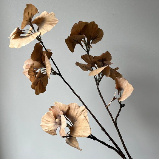 Ginkgo Leaf (Japanse notenboom) - Bruin/Beige