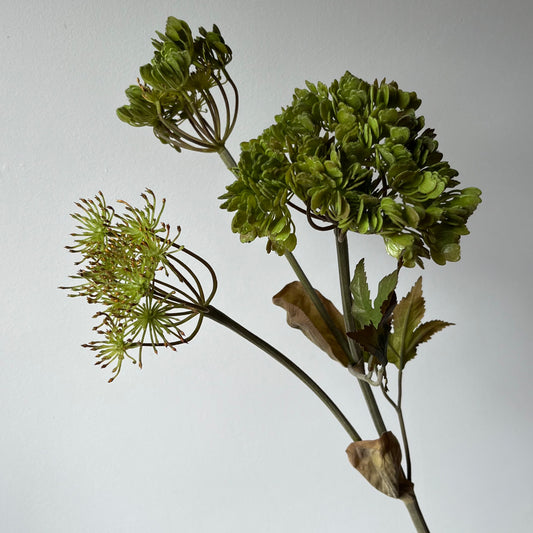 Angelica steel - Groen
