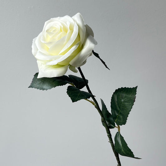 Roos - Creme/groen