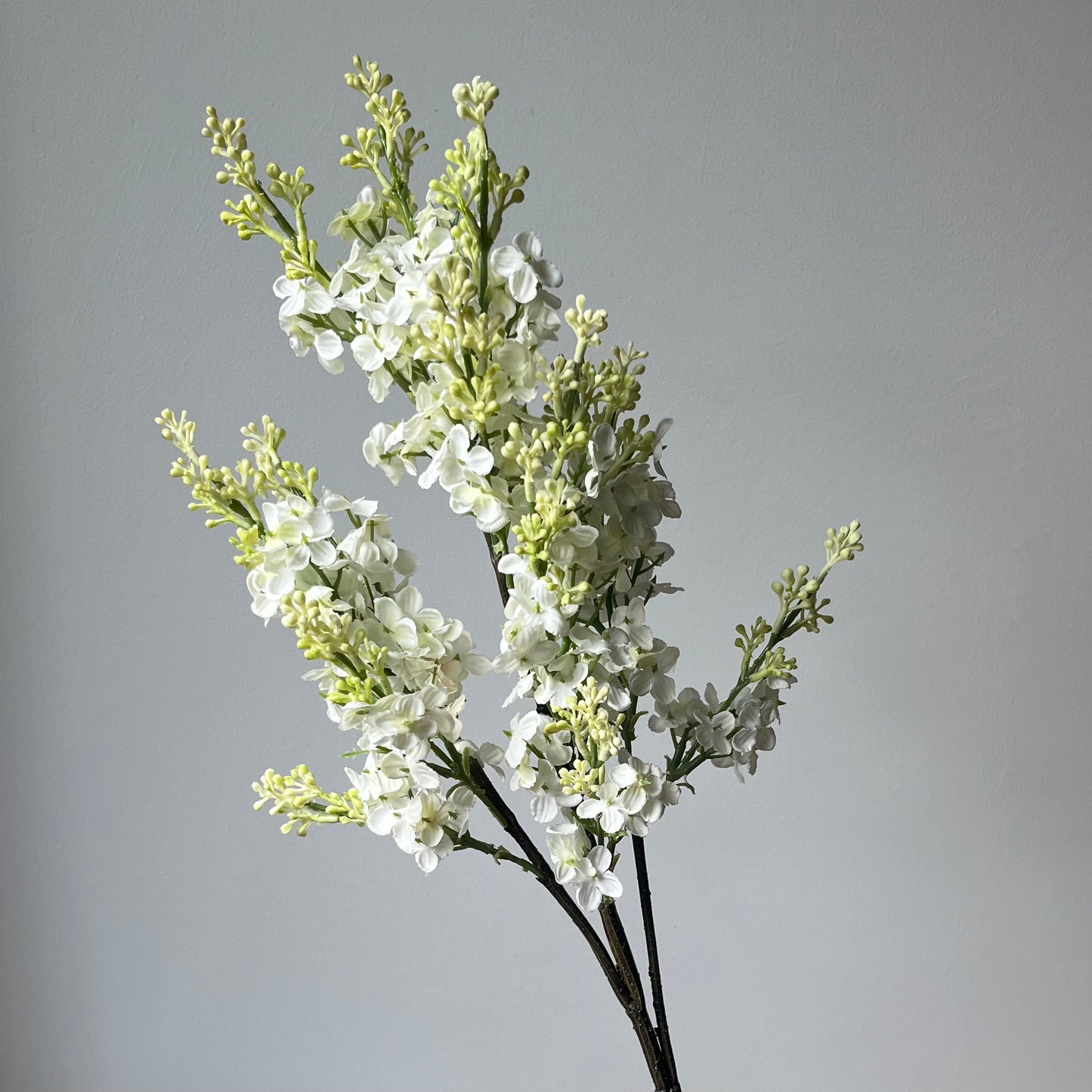 Sering Spray - Wit