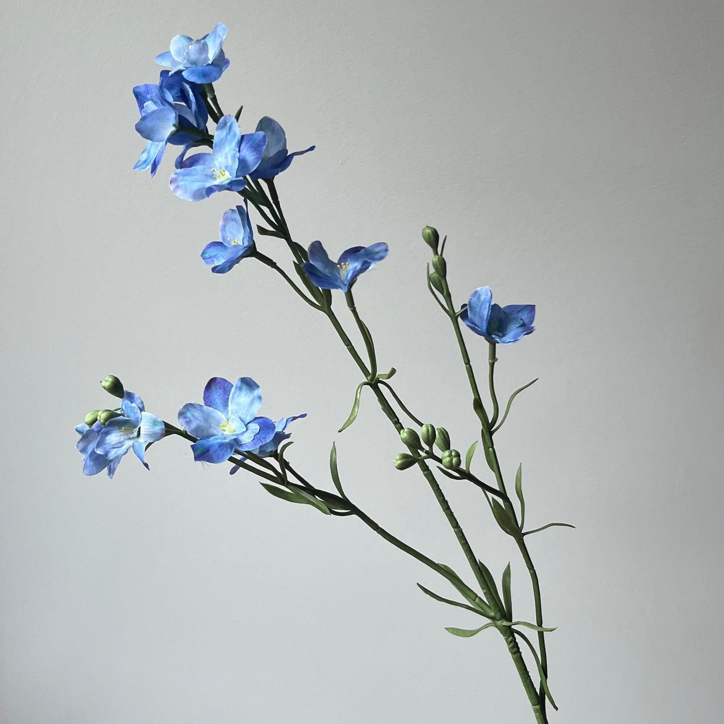 Delphinium Spray (Larkspur/Ridderspoor) - Licht Blauw