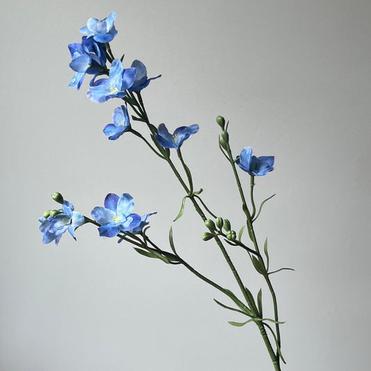 Delphinium Spray (Larkspur/Ridderspoor) - Licht Blauw
