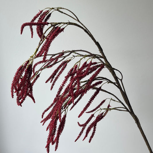 Amaranthus Spray - Bordeaux