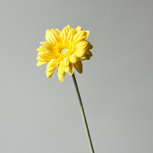Gerbera mini - Geel