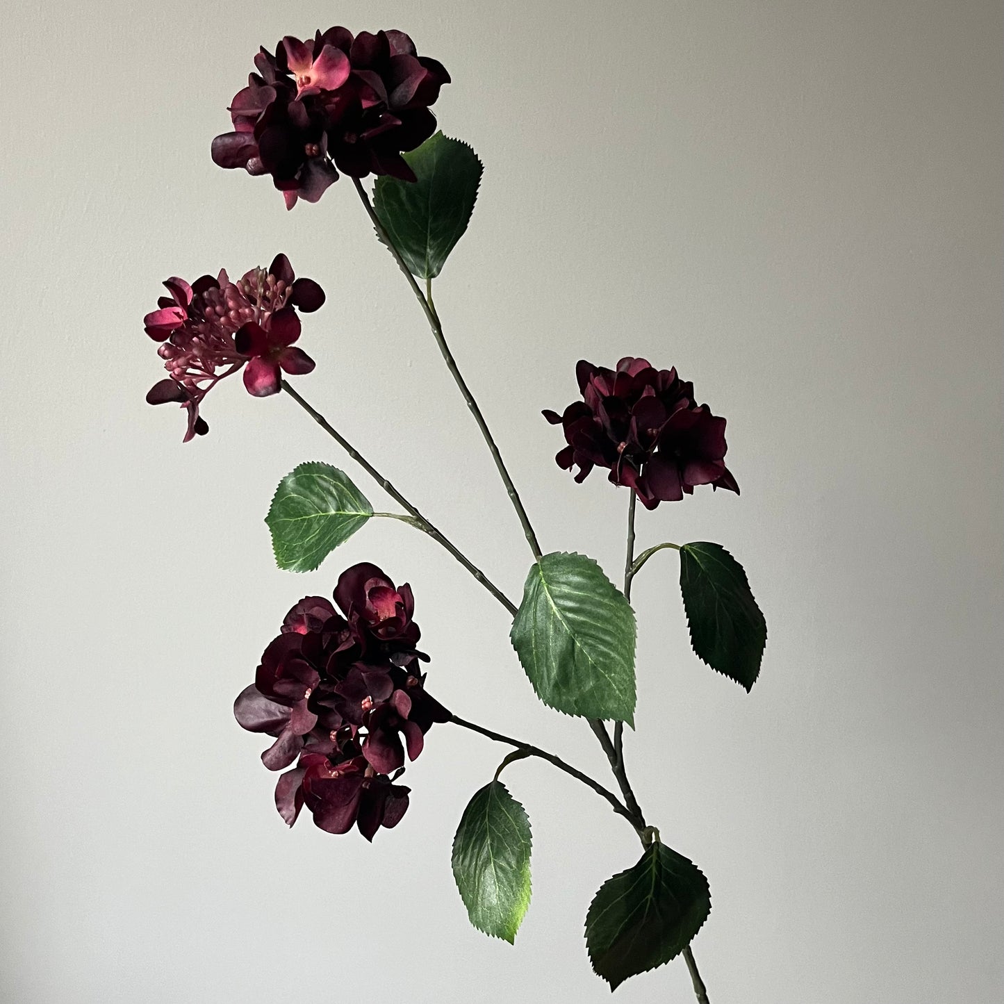 Hydrangea (Hortensia) Spray - Bordeaux
