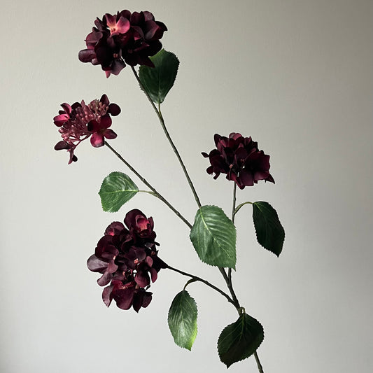 Hydrangea (Hortensia) Spray - Bordeaux