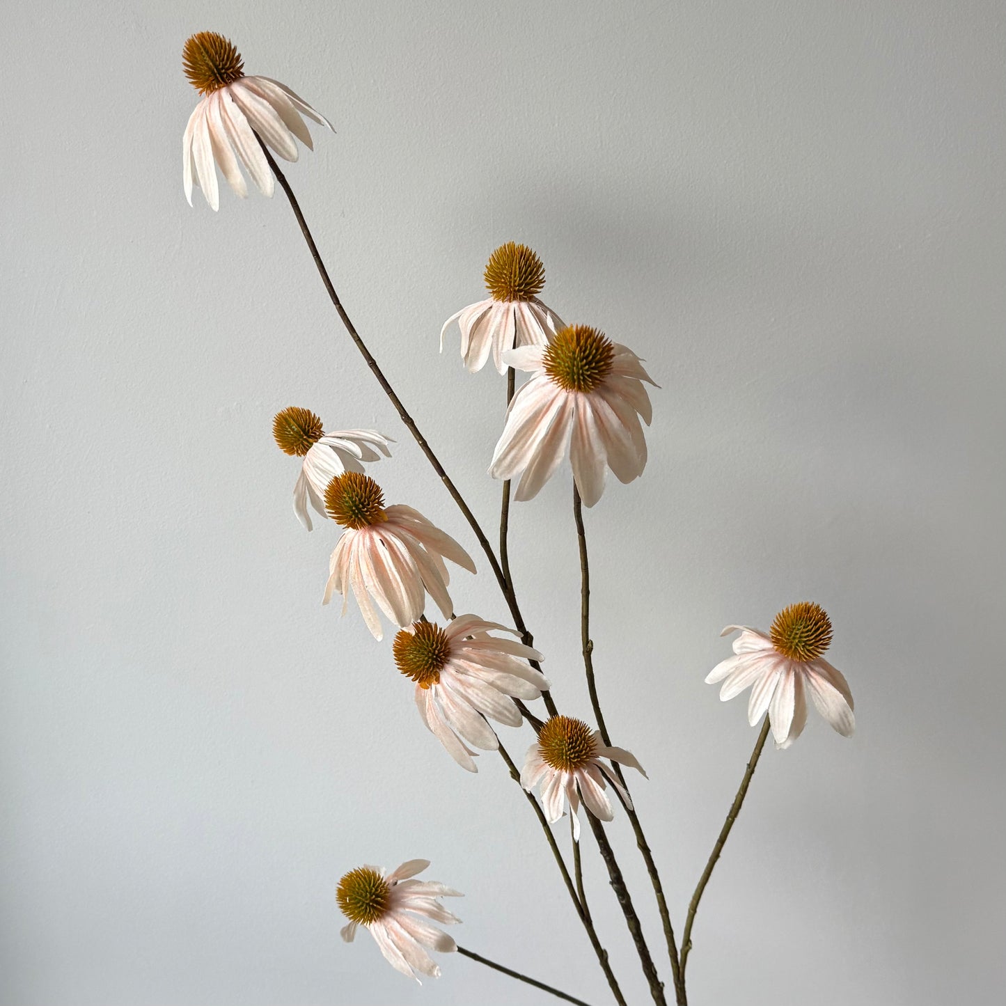 Echinacea Spray - Beige/bruin
