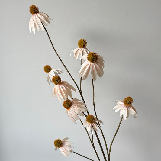 Echinacea Spray - Beige/bruin