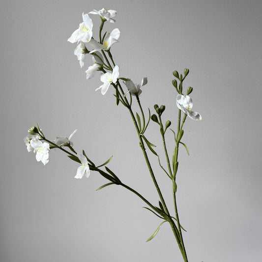 Delphinium Spray (Larkspur/Ridderspoor) - Wit