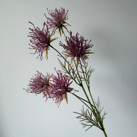 Grevillea Spray - Bordeaux