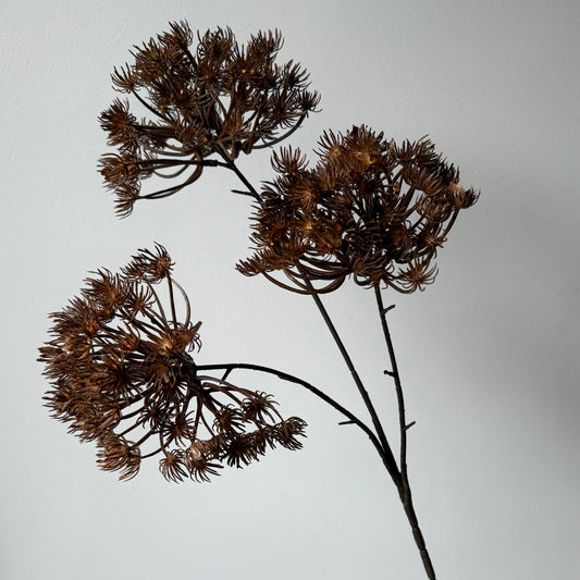 Wildwortel Spray (Queen Anne's Lace / Vogelnestje) - Bruin
