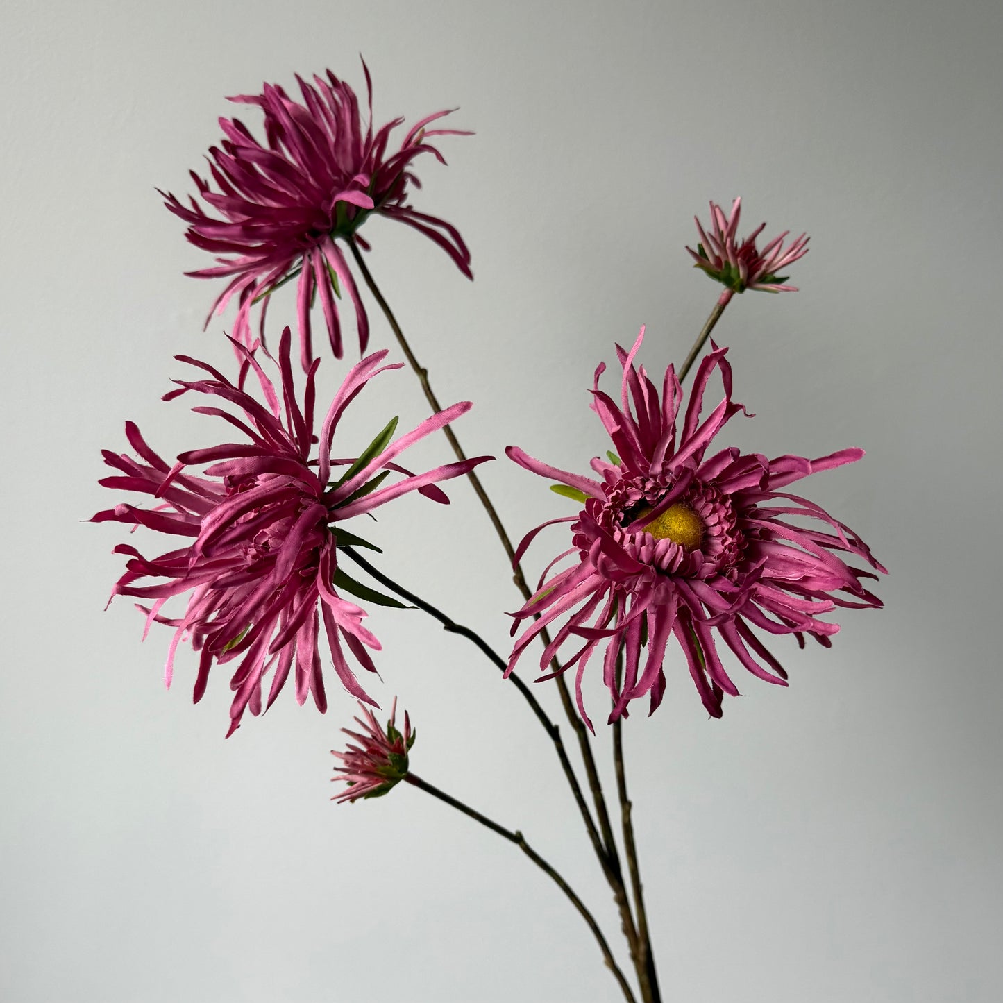 Chrysant Spray (5-tak) - Donker Roze