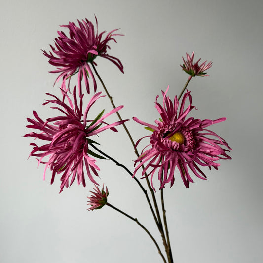 Chrysant Spray (5-tak) - Donker Roze