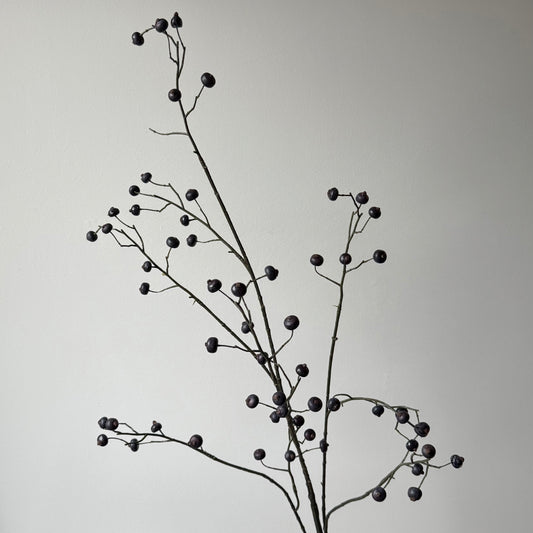 Rosehip Spray (bessen) - Donker Paars