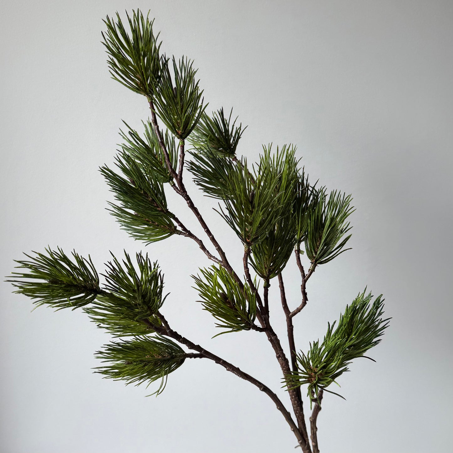 Dennentak Spray (Kerst) - Groen