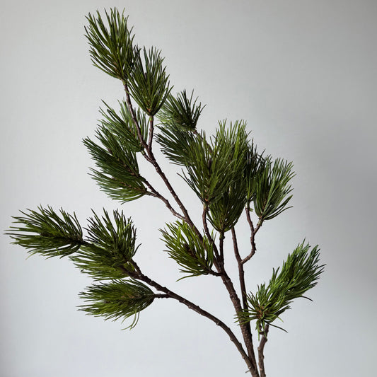 Dennentak Spray (Kerst) - Groen