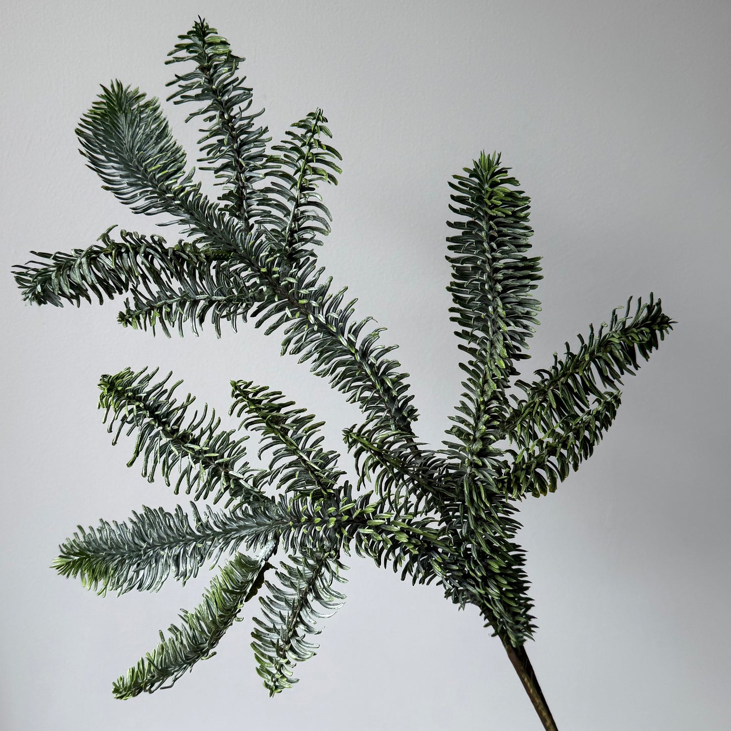Dennen tak (Kerst) - Grijsgroen