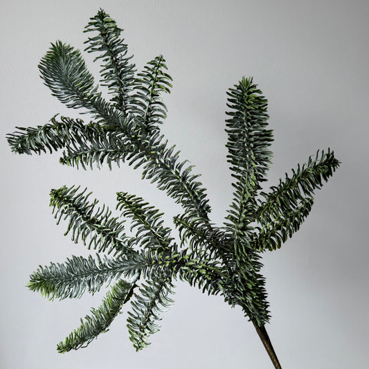Dennen tak (Kerst) - Grijsgroen