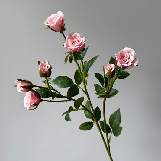 Roos Baby Spray - Licht Roze