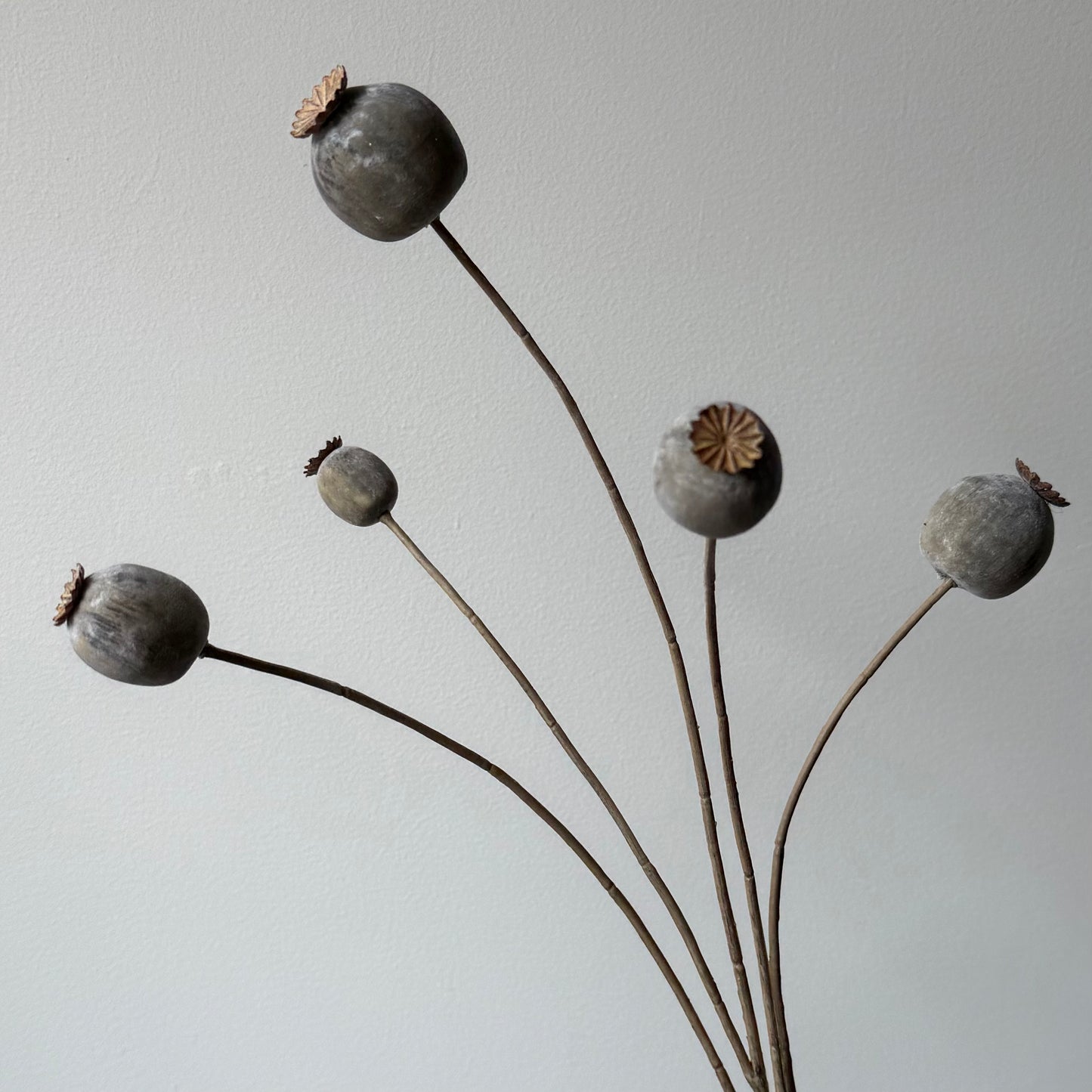 Papaver Spray - Beige/grijs