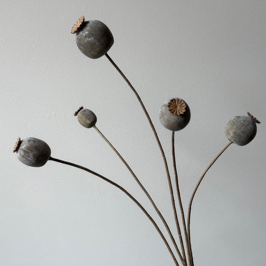 Papaver Spray - Beige/grijs