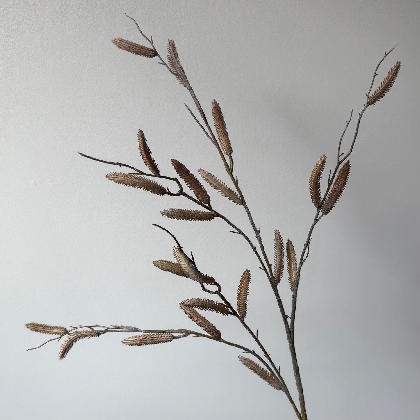 Salix (wilg) Spray - Beige