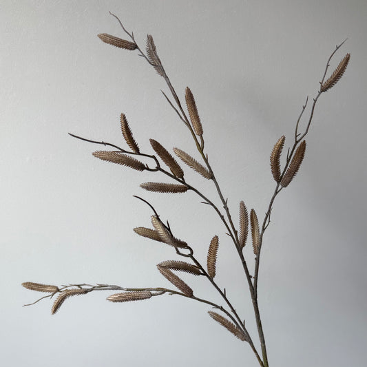 Salix (wilg) Spray - Beige