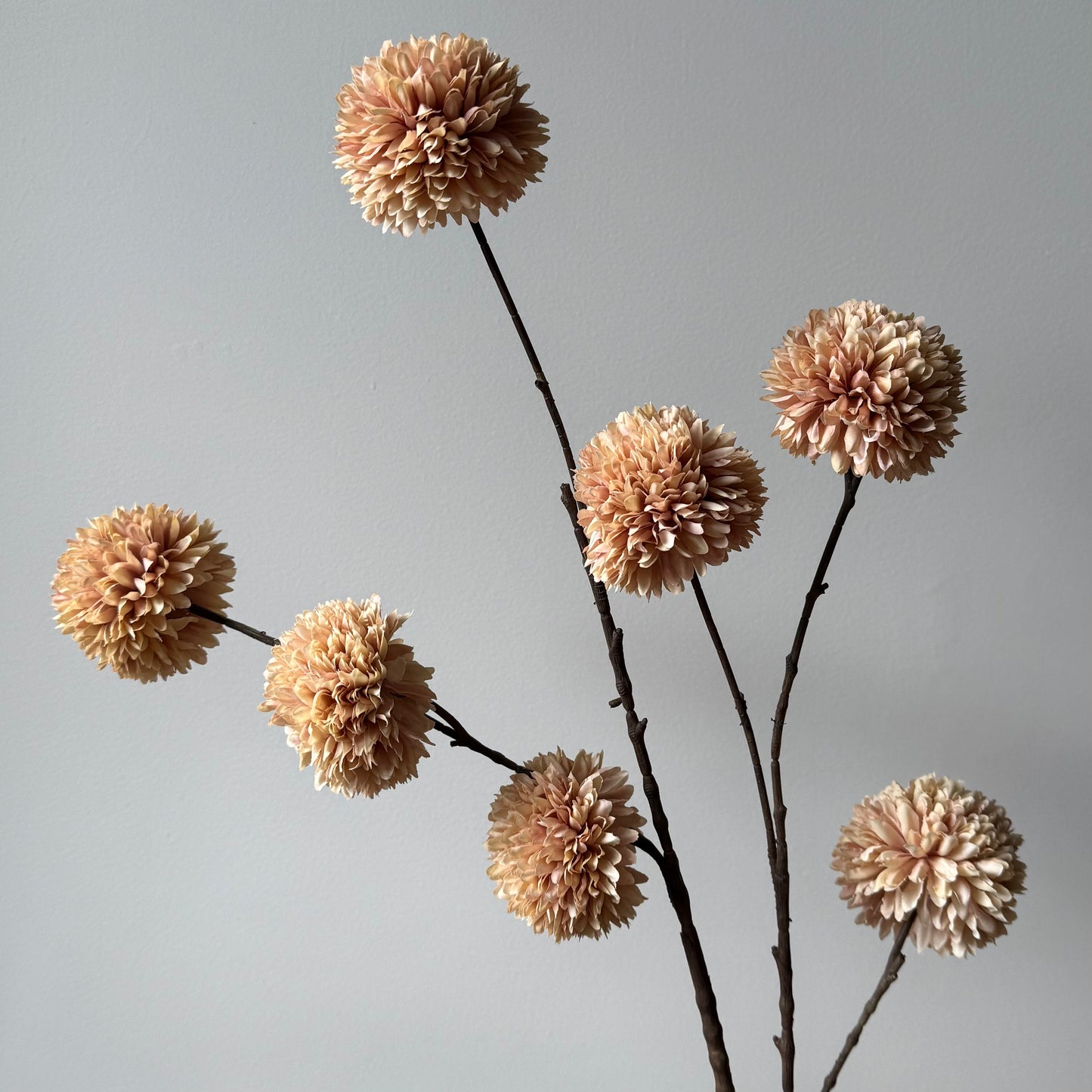 Pompom Large Spray - Champagne / Beige