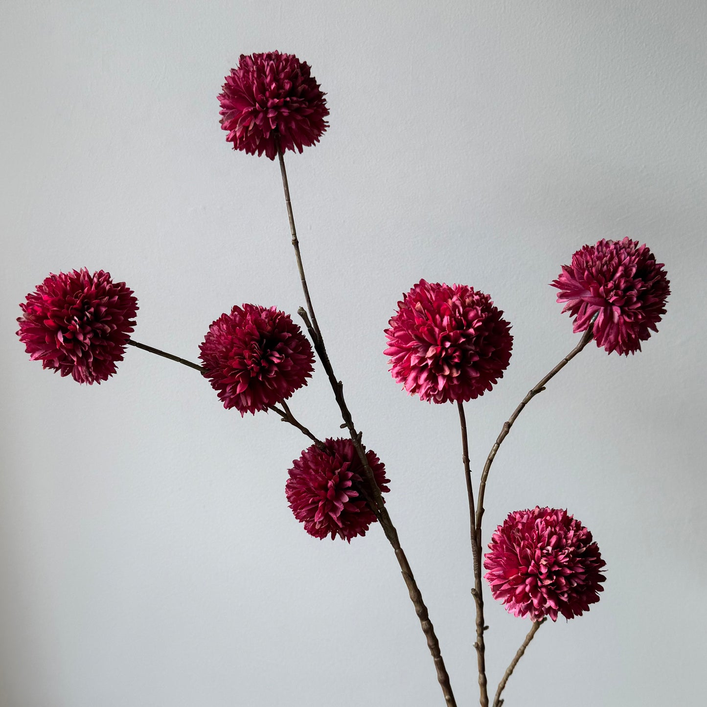Pompom Large Spray - Bordeaux