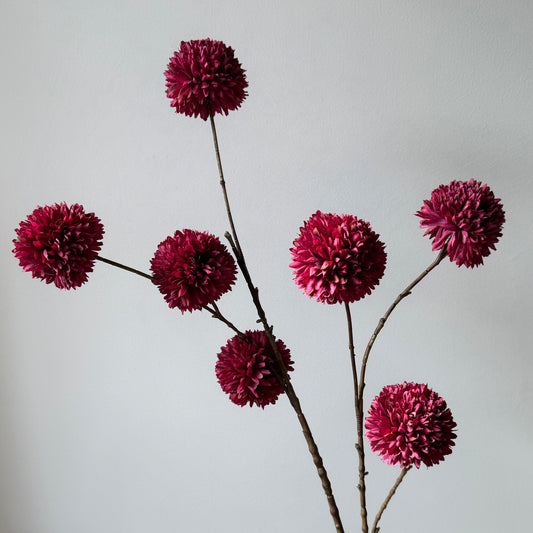 Pompom Large Spray - Bordeaux