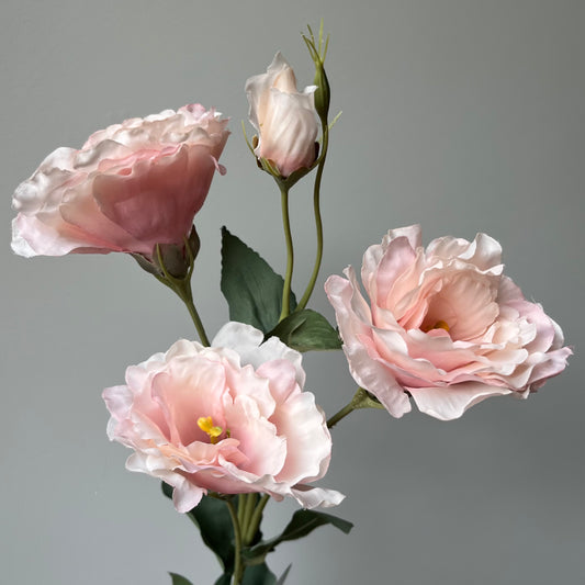 Eustoma Spray - Roze