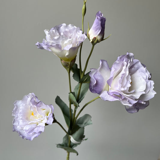 Eustoma Spray - Lila