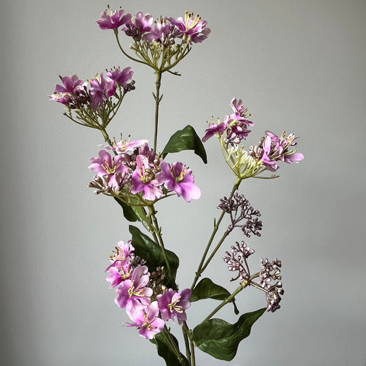 Trachelium (Halskruid) Spray - Lila